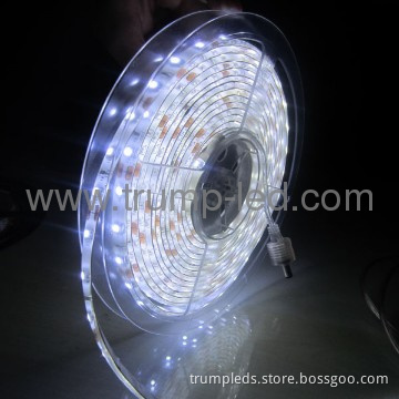 High quality smd3528 5050 blue led strip light